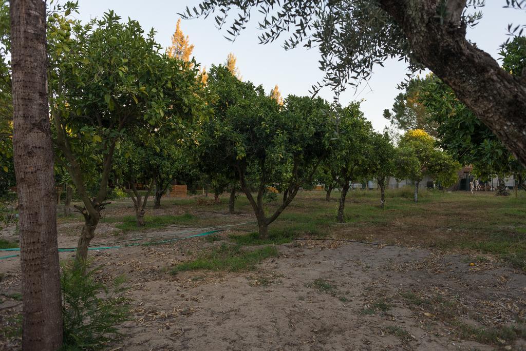 Quinta Da Mimosa Hotel Fajarda Ngoại thất bức ảnh